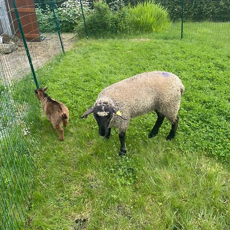 Gite "La Roucherie" 3 Etoiles En Cote D'Opale Lottinghen Luaran gambar